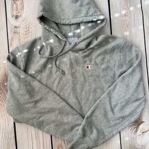 Champion Gray Hoodie XSmall